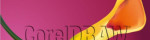 Príprava na pracovnú pozíciu ako grafik - dtp - layout – fotka 2